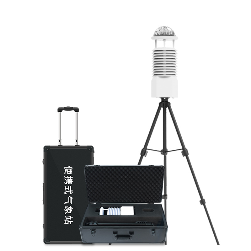 Meteorological Stations Real-time Multi-parameter Monitoring via an Integrated 12-Element Sensor